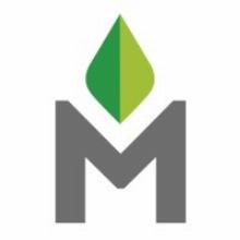 Meraki Impact